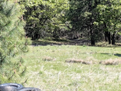 PXL_20250430_175030418