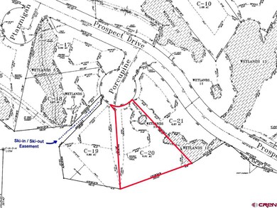 4 Porcupine Ct, Mt. Crested Butte, CO 81225 - photo 5