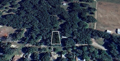 6462 W Riverbend Rd, Dunnellon, FL 34433 - photo 2