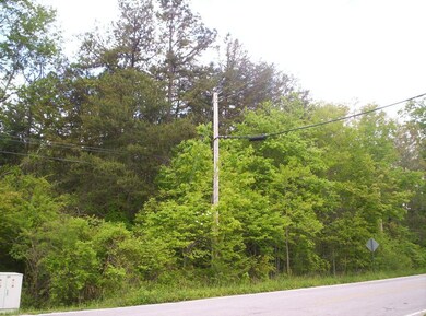 Road view