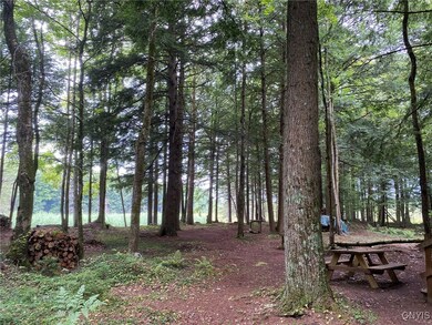 0 Fisherman S Bridge Rd unit S1636074, Williamstown, NY 13493 - photo 7