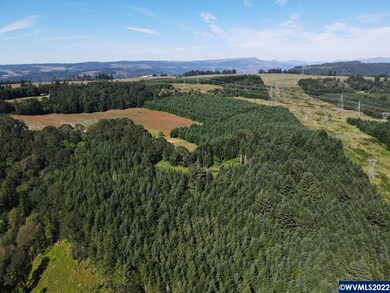 42480 Mount Pleasant Dr, Scio, OR 97374 - photo 5