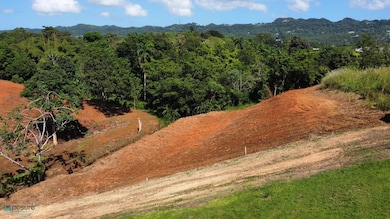 X Calle Los Cipreses Bo Pueblo Moca P R, Moca, PR 00676 - photo 4