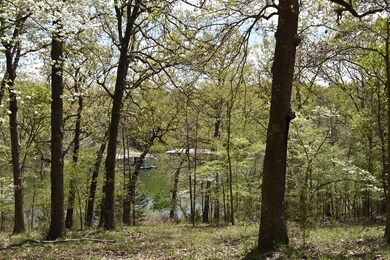 566 Peninsula Estates Ln, Kimberling City, MO 65686 - photo 7