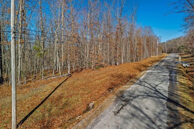 0 E Overlook Rd unit RTC3067659, Monterey, TN 38574 - photo 5