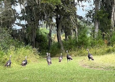 1569 River Rd, Yemassee, SC 29945 - photo 2