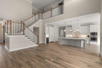 3905 W Corona St, Tampa, FL 33629 - photo 2