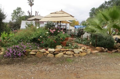 IMG_0406(1)