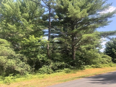 23 Logan Way, West Ossipee, NH 03890 - photo 3