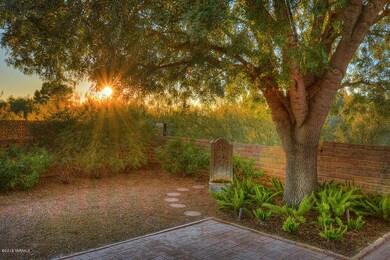 Tranquil Backyard Setting