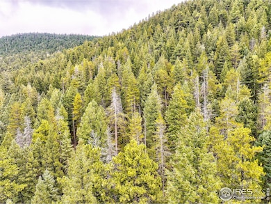 10862 Twin Spruce Rd, Coal Creek Canyon, CO 80403 - photo 5