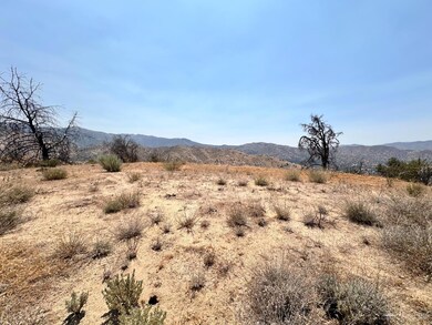 0 Rd unit 9992914, Caliente, CA 93518 - photo 4