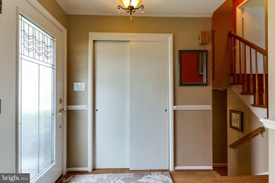 8515 Doter Dr, Alexandria, VA 22308 - photo 5