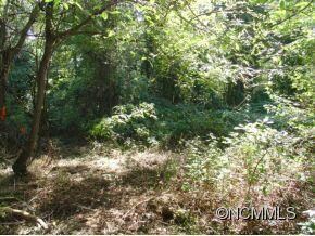 99999 Caribou Rd, Asheville, NC 28803 - photo 6