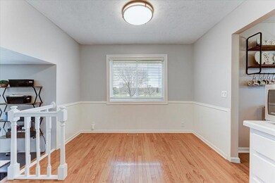 307 Maple