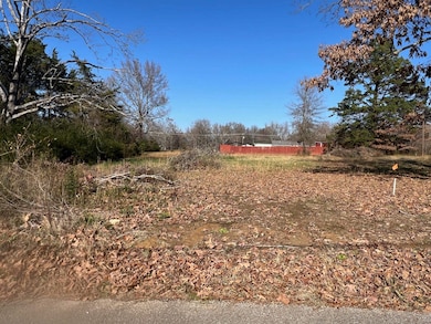 135 Gean Ln, Savannah, TN 38372 - photo 3