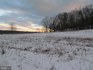 0 Dellinger Gap Rd unit VASH107484, Edinburg, VA 22824 - photo 3