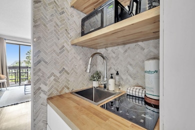 Kitchenette remodel w/Induction Stovetop