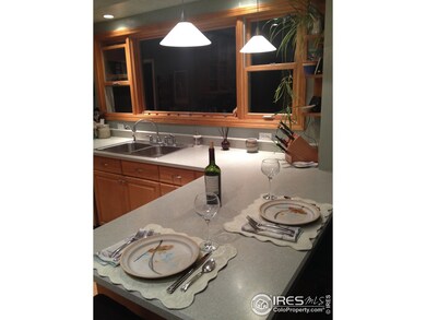 3875 Cloverleaf Dr, Boulder, CO 80304 - photo 4