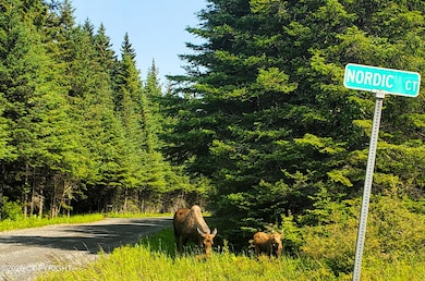 35196 Nordic Ct, Anchor Point, AK 99556 - photo 5