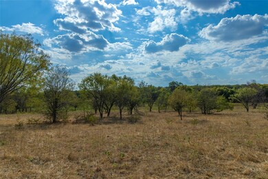 Tract 3 County Road 4460, Decatur, TX 76234 - photo 5