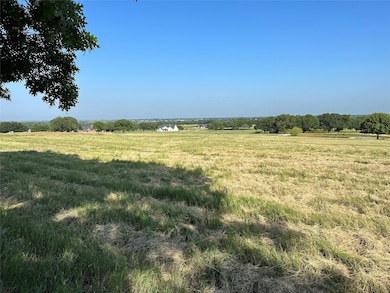 1040 Bluebonnet Ridge, Weatherford, TX 76087 - photo 5