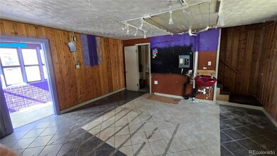 605 Argentine St, Georgetown, CO 80444 - photo 5