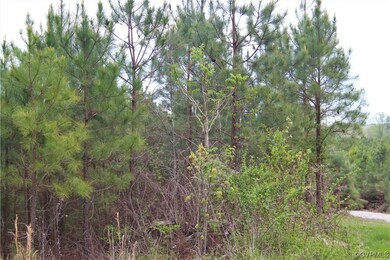 2040 State Route 635, Powhatan, VA 23139 - photo 6