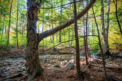 306 North Rd, Shelburne, NH 03581 - photo 4