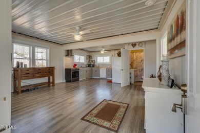 1614 E Myrtle Ave, Johnson City, TN 37601 - photo 5