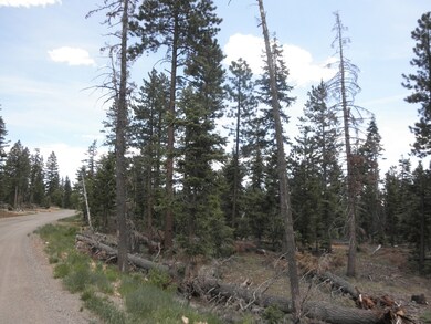 Lot Picture 4