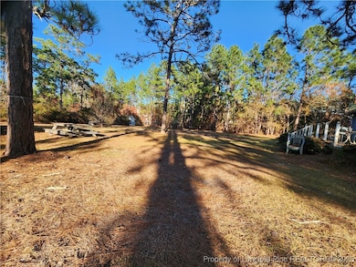 480 Shep Dr, Fayetteville, NC 28311 - photo 3