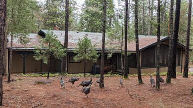 4175 Pleasant Creek Rd, Rogue River, OR 97537 - photo 5