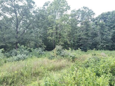 1150 Logan Hollow-Copperas Branch Rd, Morehead, KY 40351 - photo 5