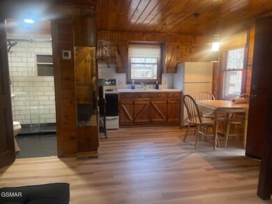 5568 Henry Town Rd, Sevierville, TN 37876 - photo 6