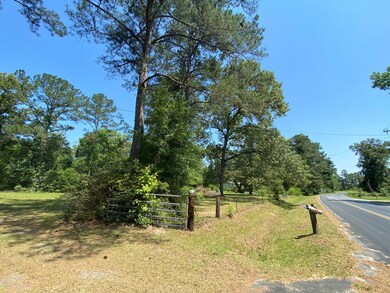 556 McNatt Falls Rd, Uvalda, GA 30473 - photo 3