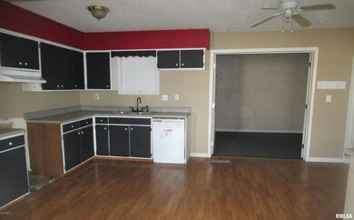 98 Alysha Ln, Harrisburg, IL 62946 - photo 4