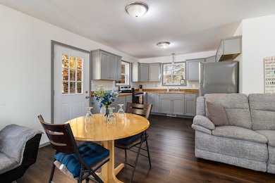 6483 S Emma Ave, Baldwin, MI 49304 - photo 6