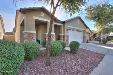 Beautiful Curb Appeal