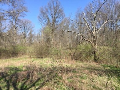 Woods