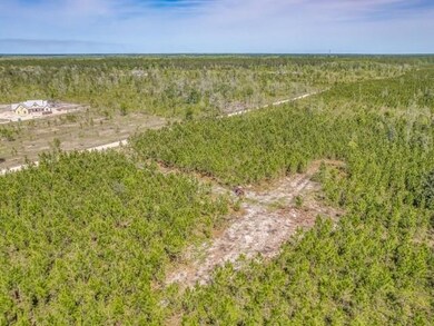 Lot 5 Rock Crusher Rd, Crawfordville, FL 32327 - photo 7