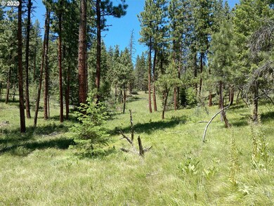 0 Grant Pine Hunt unit 20159261, Prairie City, OR 97869 - photo 2