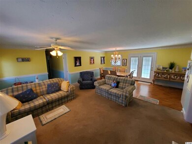 7242 Highway 134, Conway, SC 29527 - photo 7