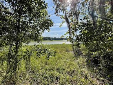 LOTS 13, 14 SW Shorewood Dr, Dunnellon, FL 34431 - photo 3