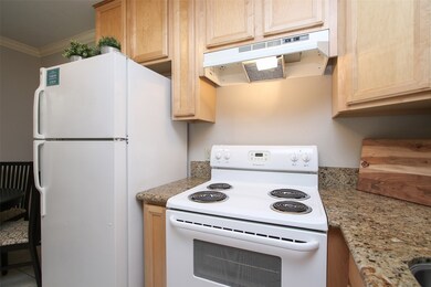 1307 Welch St unit 6, Houston, TX 77006 - photo 7