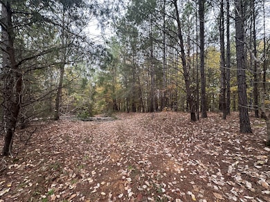 316 Arbor Rd, Linden, TN 37096 - photo 7