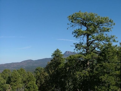 0 Fox Trail unit 20-978, Trinidad, CO 81082 - photo 6