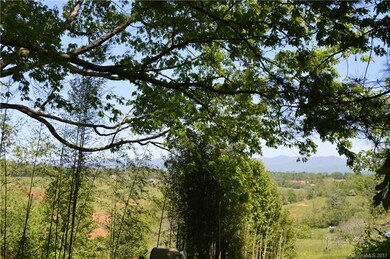 999 Retta Ln, Leicester, NC 28748 - photo 6