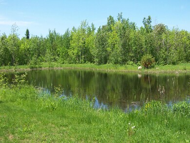 Pond