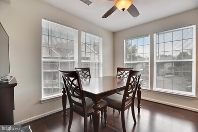 4406 Silverbrook Ln unit J301, Owings Mills, MD 21117 - photo 6